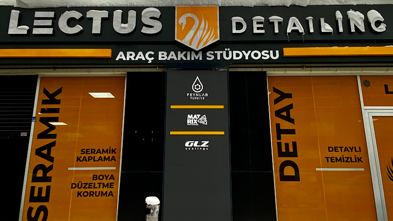 Lectus Detailing