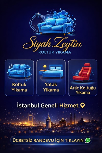 "Siyah Zeytin Profesyonel Koltuk Yatak Araç Koltuk Yıkama | Zeytinburnu & Tüm Avrupa Yakası".