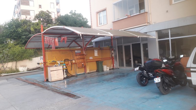 Palmiye oto yıkama