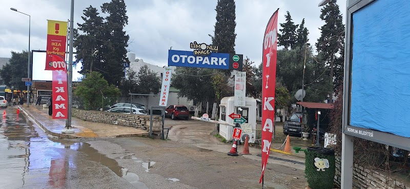 Bodrum Limonlu Bahçe Oto Yıkama