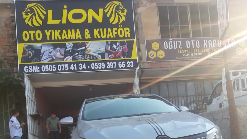 Lion oto yıkama