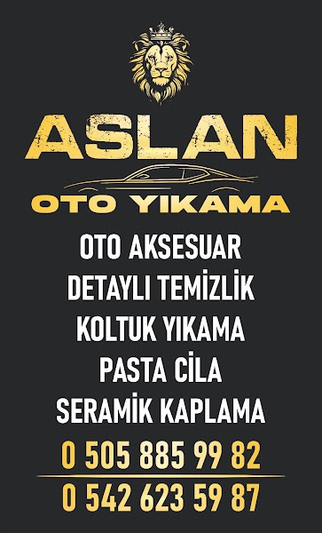 ASLAN OTO YIKAMA