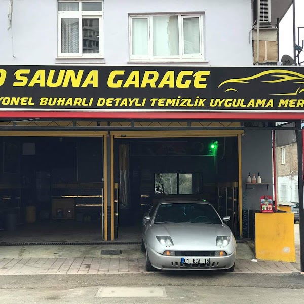 Vipotosauna_zeus otoyıkama